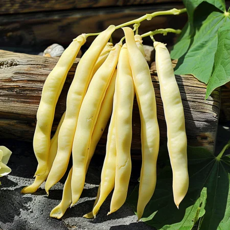 Zeleni grah Goliatka